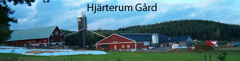 Hjärterum Grd